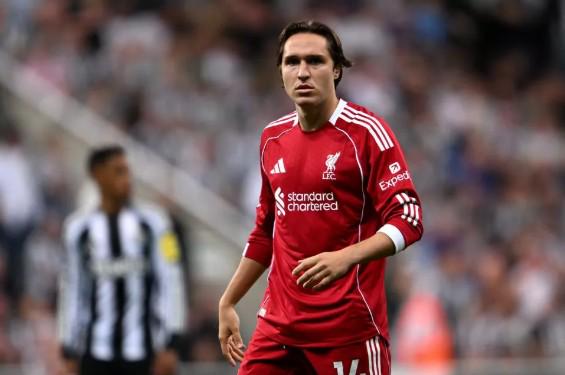 巅峰国际,产品,巅峰国际集团,巅峰国际集团,巅峰国际官方,巅峰国际登录