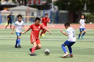 巅峰国际,产品,巅峰国际集团,巅峰国际集团,巅峰国际官方,巅峰国际登录