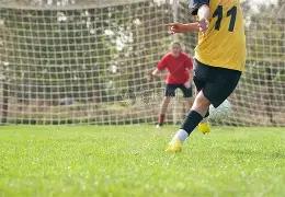 华谊辟谣沈,佳欣为其艺,人身份,巅峰国际集团,巅峰国际官方,巅峰国际登录