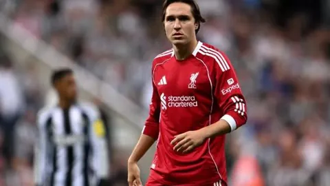 巅峰国际 产品 054326 gsj