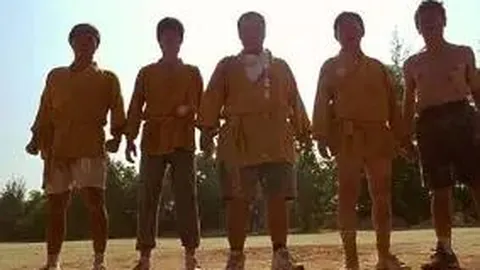 巅峰国际 产品 095058 vfa