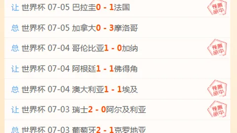 巅峰国际 111522 3
