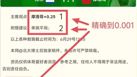 巅峰国际 124431 856